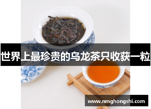 世界上最珍贵的乌龙茶只收获一粒